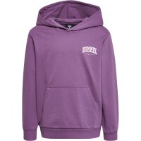 hummel Hmlfast Hoodie Kinder - argyle purple