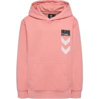 hummel Hmlwimb Hoodie Kinder - rosette