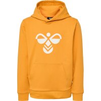 hummel Hmlcuatro Hoodie Kinder - butterscotch