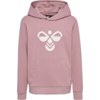 hummel Hmlcuatro Hoodie Kinder - woodrose