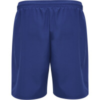 hummel Hmlmove Grid Woven Shorts Herren - sodalite blue