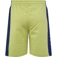 hummel Hmlrush Block Shorts Jungen - green olive