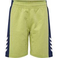 hummel Hmlrush Block Shorts Jungen - green olive