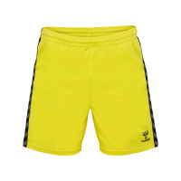 hummel Hmlauthentic Pl Shorts Herren - blazing yellow