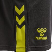 hummel Hmlactive Pl Shorts Herren - obsidian/sulphur spring