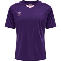 hummel Hmlcore Xk Poly Trikot S/S Herren - acai