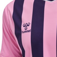 hummel Hmlcore Xk Striped Trikot S/S Herren - cotton candy/acai