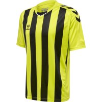 hummel Hmlcore Xk Striped Trikot S/S Herren - lime...