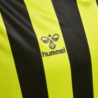 hummel Hmlcore Xk Striped Trikot S/S Herren - lime popsicle/black