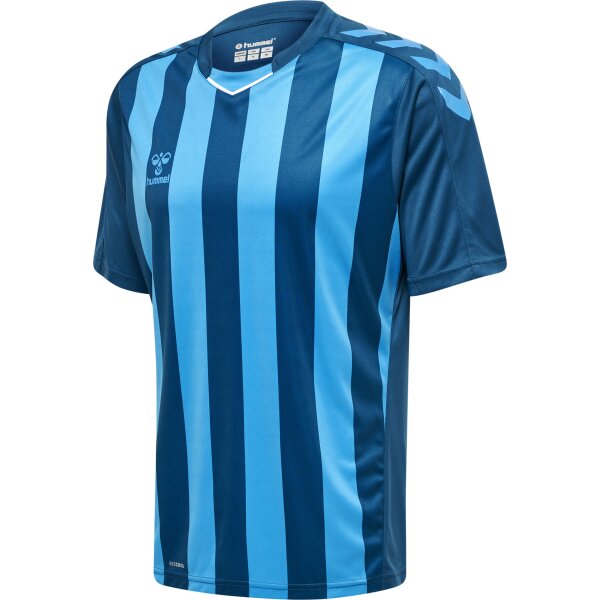 hummel Hmlcore Xk Striped Trikot S/S Herren - blue...