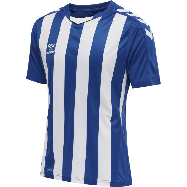 hummel Hmlcore Xk Striped Trikot S/S Herren - true...