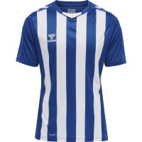 hummel Hmlcore Xk Striped Trikot S/S Herren - true blue/white