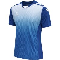 hummel Hmlcore Xk Sublimation Trikot S/S Herren - true blue