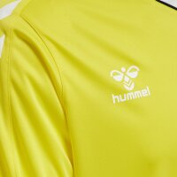 hummel Hmlcore Xk Poly Trikot L/S - blazing yellow