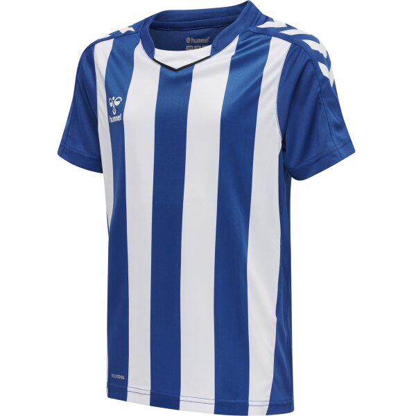 hummel Hmlcore Xk Striped Trikot S/S Kinder - true...