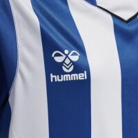 hummel Hmlcore Xk Striped Trikot S/S Kinder - true blue/white