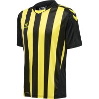 hummel Hmlcore Xk Striped Trikot S/S Herren -...