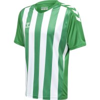 hummel Hmlcore Xk Striped Trikot S/S Herren - jelly bean/white