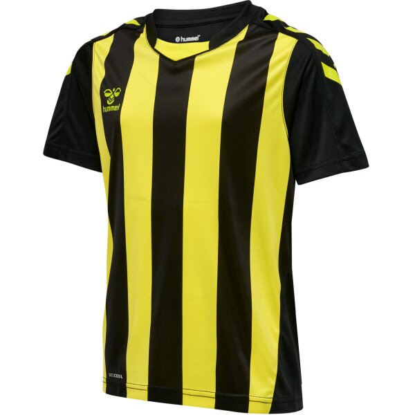 hummel Hmlcore Xk Striped Trikot S/S Kinder -...