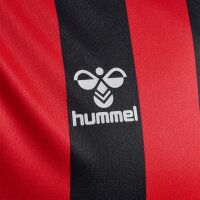 hummel Hmlcore Xk Striped Trikot S/S Herren - black/true red