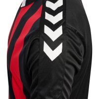 hummel Hmlcore Xk Striped Trikot S/S Herren - black/true red