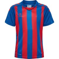 hummel Hmlcore Xk Striped Trikot S/S Kinder - true blue/true red