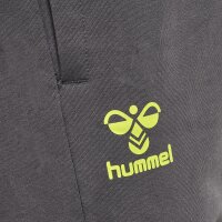 hummel Hmloffgrid Cotton Trainingshose Herren - forged iron/dark citron