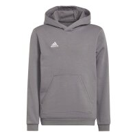 adidas Entrada 22 Hoodie Kinder - grau