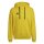 adidas Entrada 22 Hoodie Herren - gelb