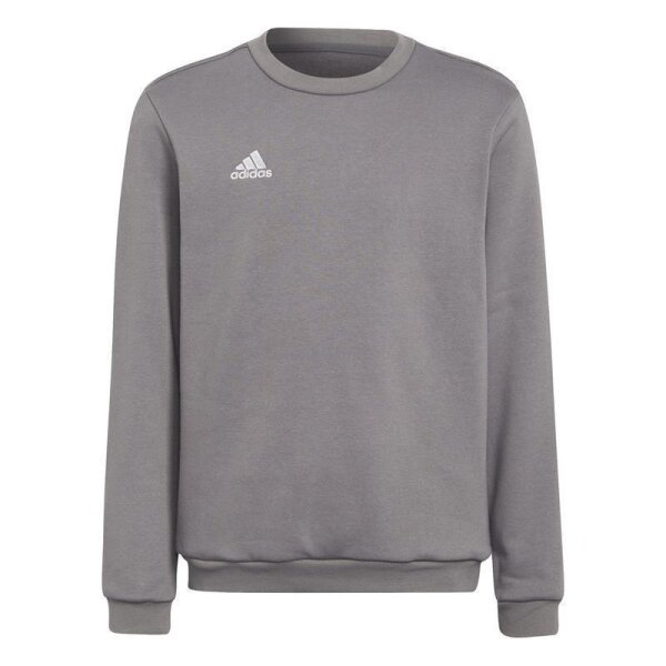 adidas Entrada 22 Sweatshirt Kinder - grau