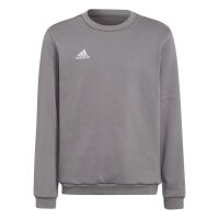 adidas Entrada 22 Sweatshirt Kinder - grau