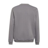 adidas Entrada 22 Sweatshirt Kinder - grau