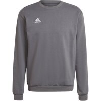 adidas Entrada 22 Sweatshirt Herren - grau