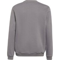 adidas Entrada 22 Sweatshirt Herren - grau