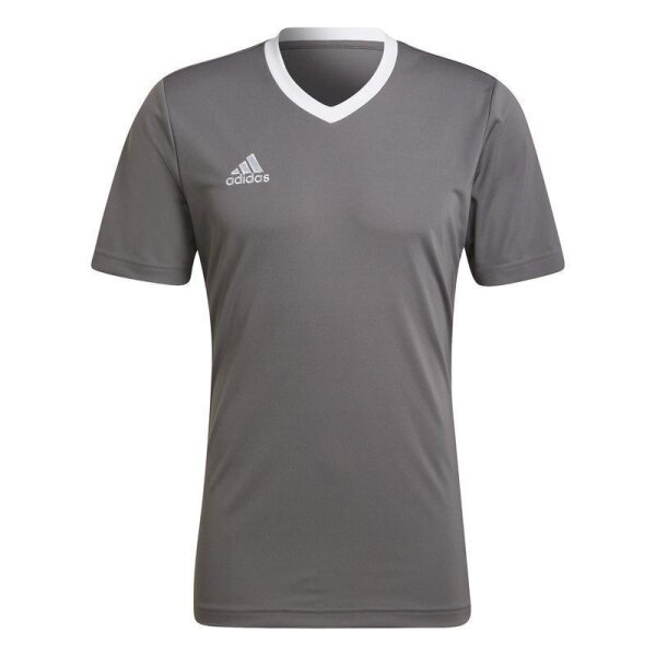 adidas Entrada 22 Trikot Herren - grau/weiß