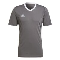 adidas Entrada 22 Trikot Herren - grau/wei&szlig;