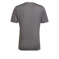 adidas Entrada 22 Trikot Herren - grau/weiß