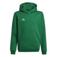 adidas Entrada 22 Hoodie Kinder - grün