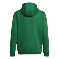 adidas Entrada 22 Hoodie Kinder - gr&uuml;n