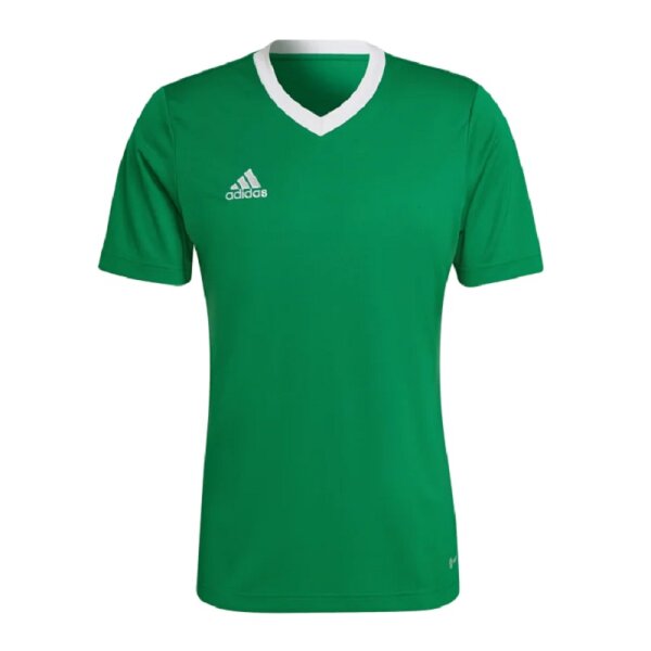 adidas Entrada 22 Trikot Herren - grün