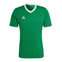 adidas Entrada 22 Trikot Herren - gr&uuml;n