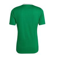 adidas Entrada 22 Trikot Herren - gr&uuml;n